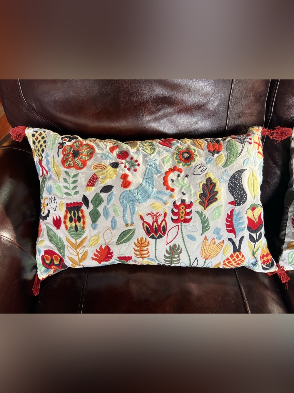 RODARV Cushions/Pillows - Multicolor